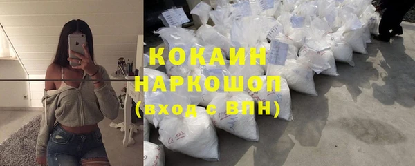 СК Алексин