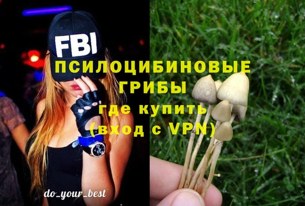 прущая мука Алзамай