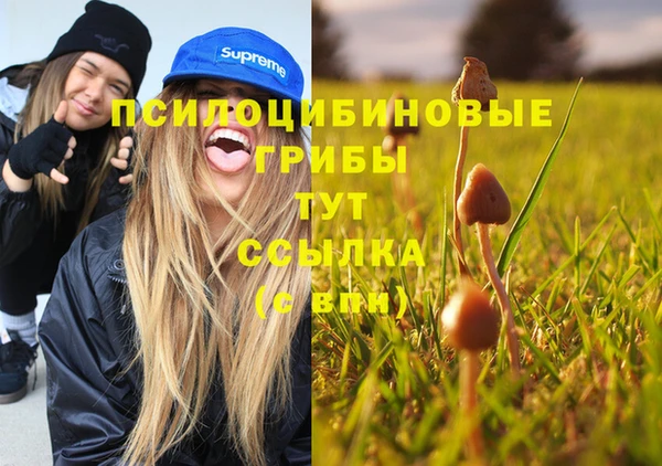 СК Алексин