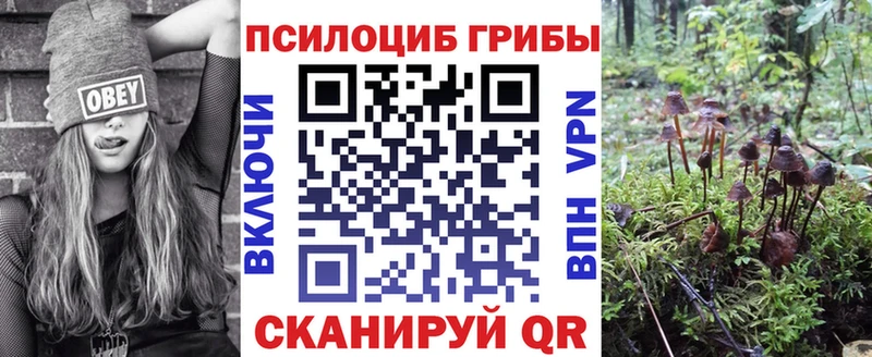 Псилоцибиновые грибы Cubensis Сясьстрой