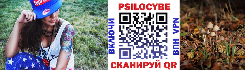 Псилоцибиновые грибы мицелий  Сясьстрой 