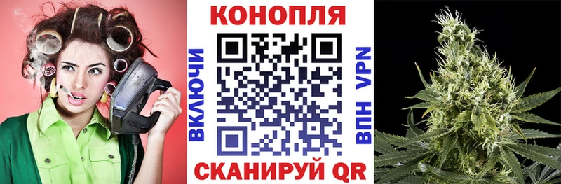 купить  цена  Сясьстрой  МАРИХУАНА план 